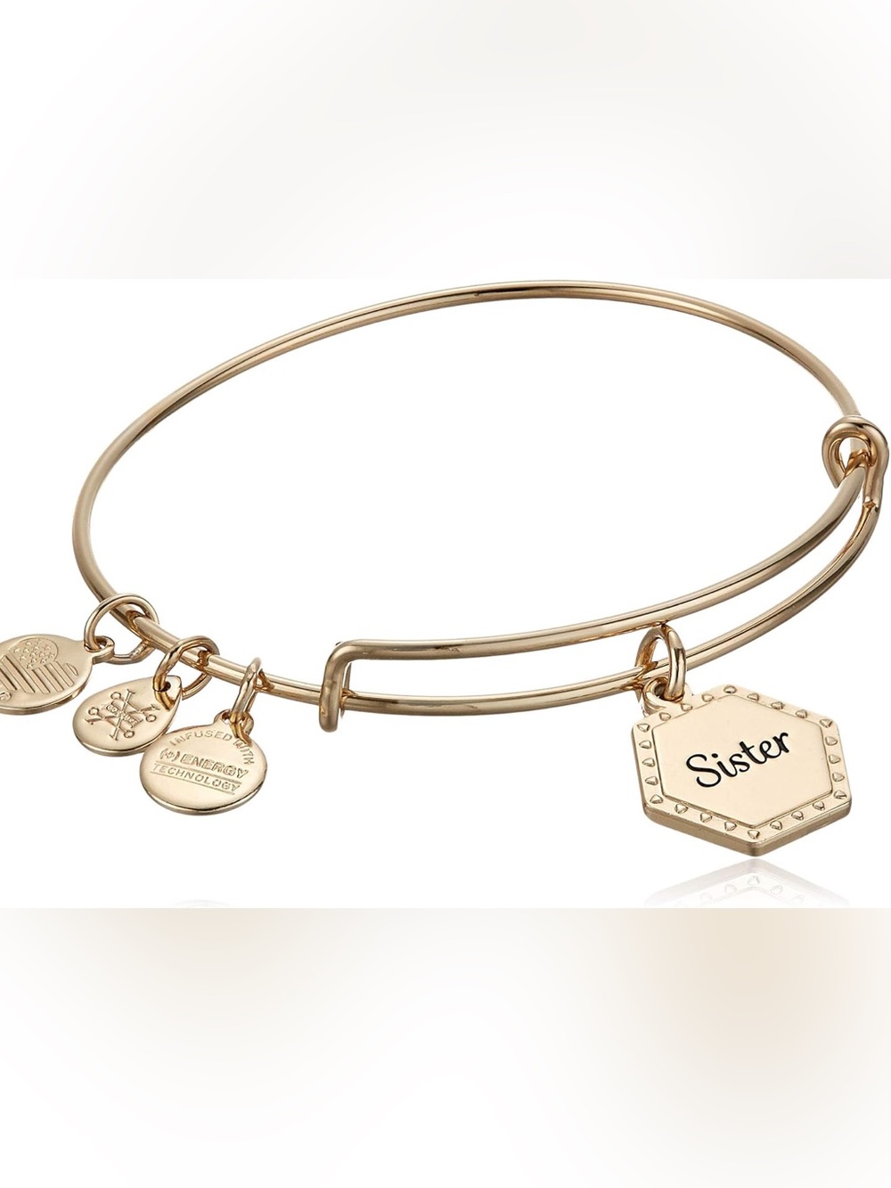 New alex and ani sister Gold-tone Charm Bangle Bracelet